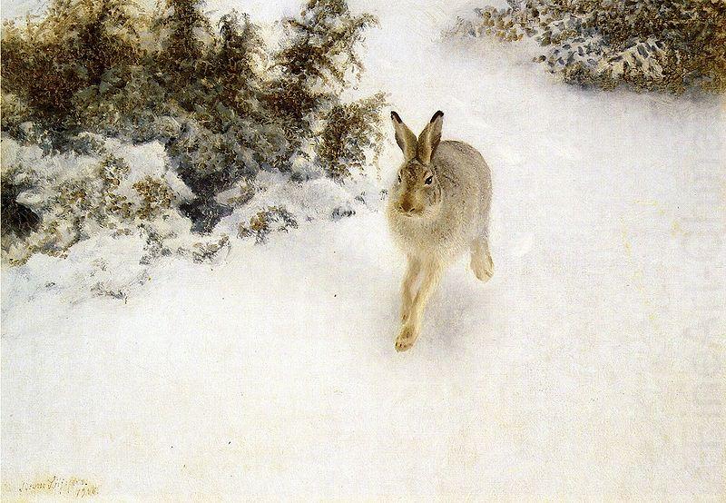 bruno liljefors Winter Hare china oil painting image